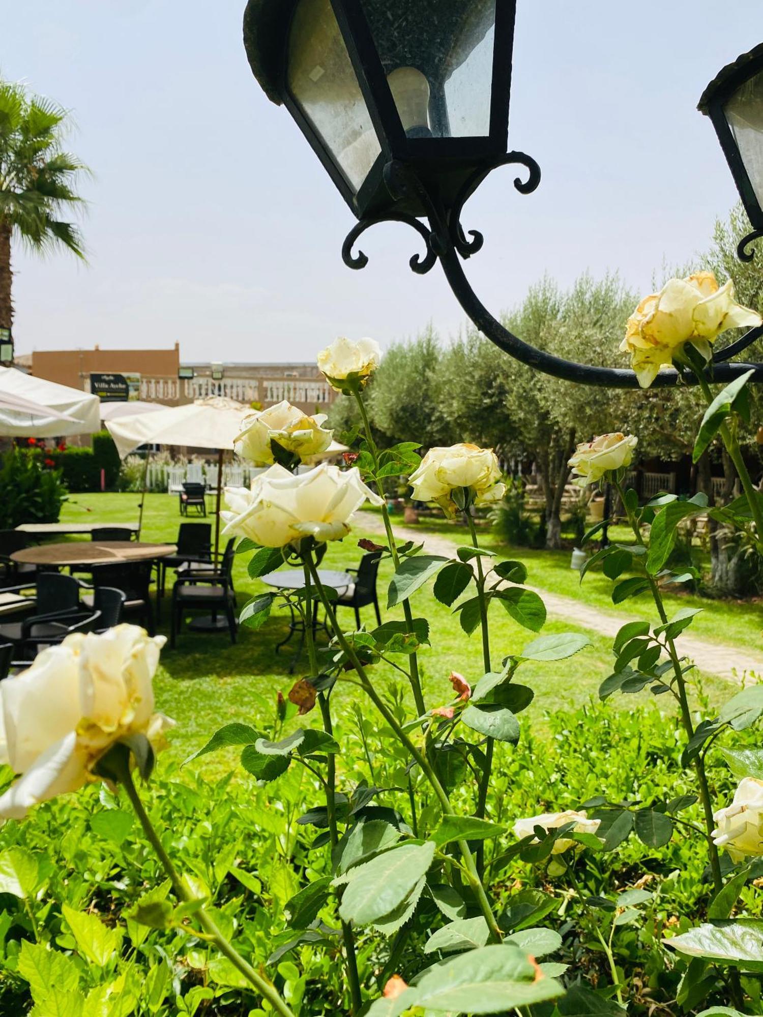 Villa Ayche Tameslouht Dış mekan fotoğraf