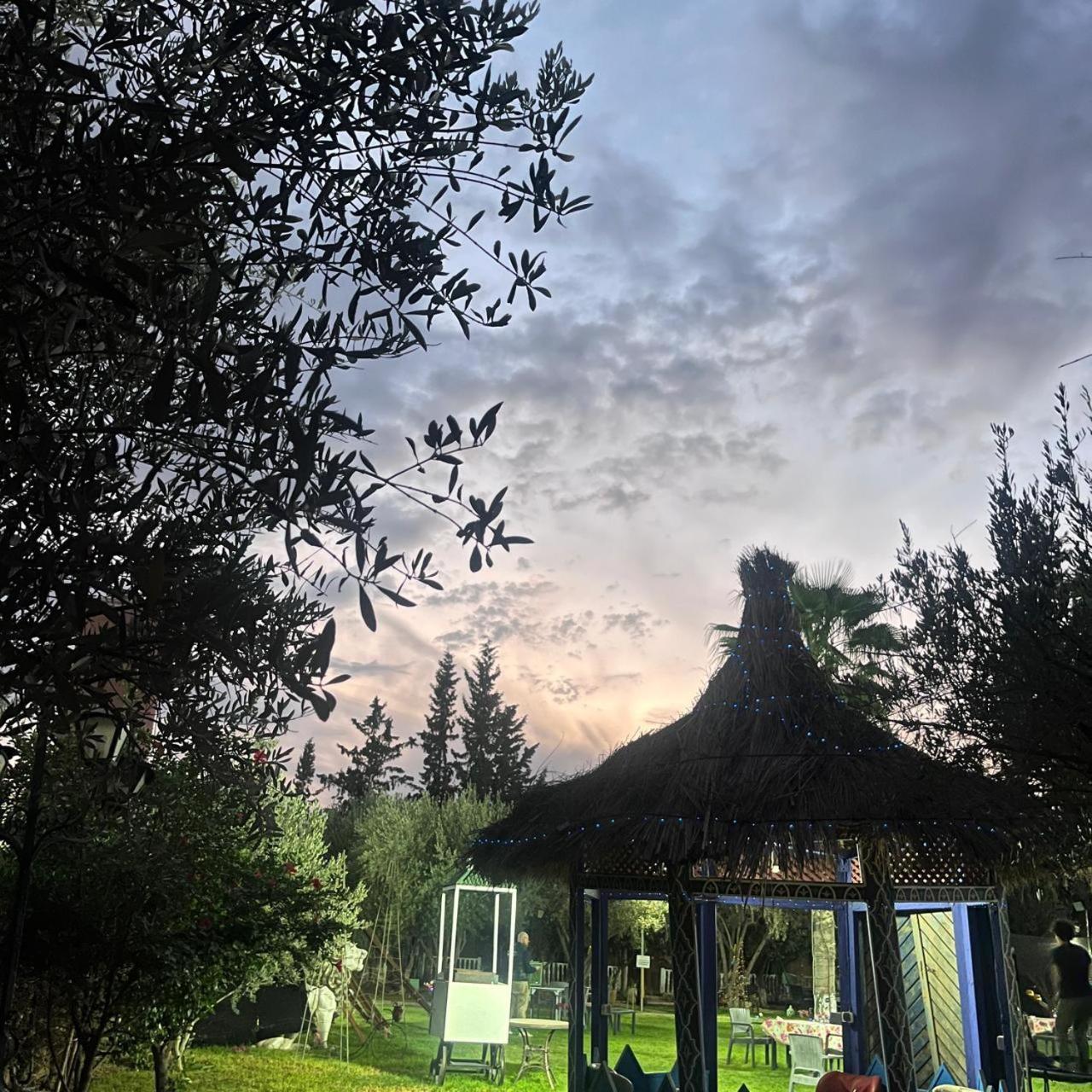 Villa Ayche Tameslouht Dış mekan fotoğraf